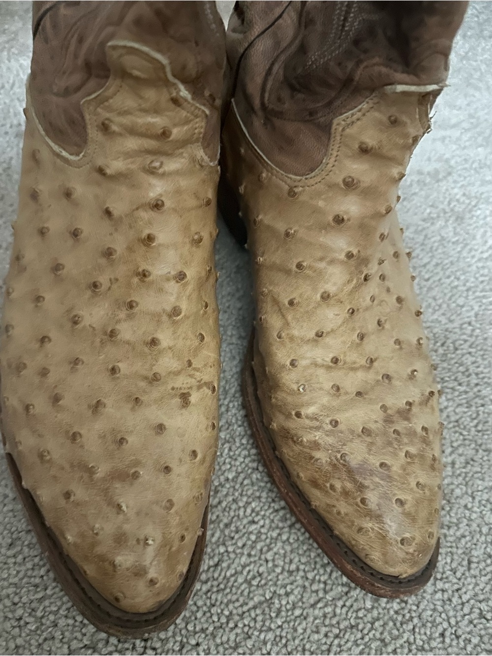 Tony Lama Tan Ostrich-Texture Western Cowboy Boots - Picture 4 of 12